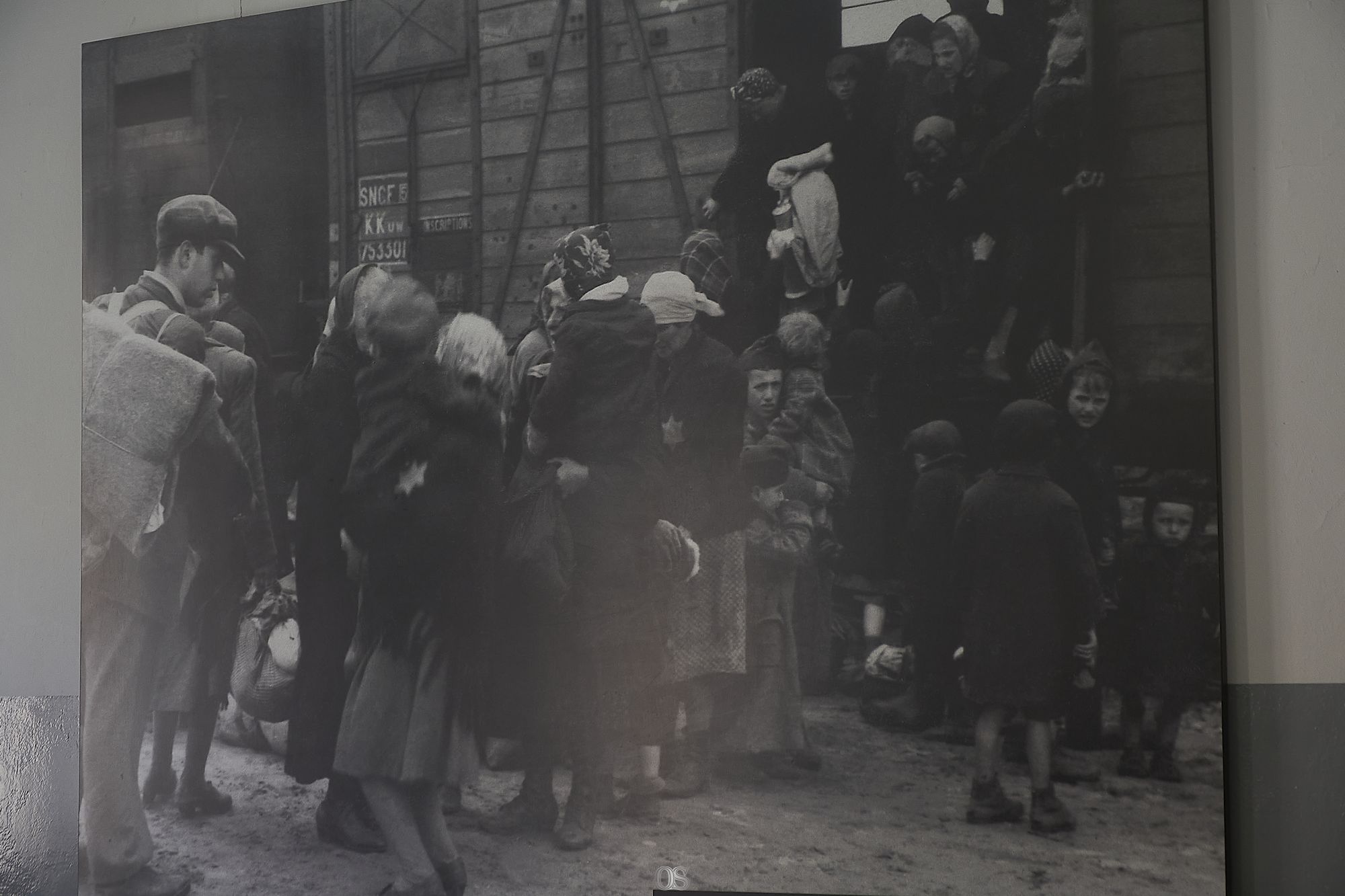 Auschwitz 16.jpg